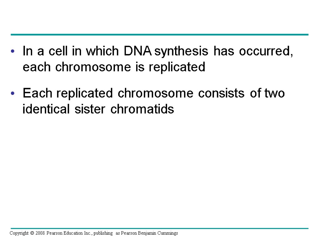 In a cell in which DNA synthesis has occurred, each chromosome is replicated Each